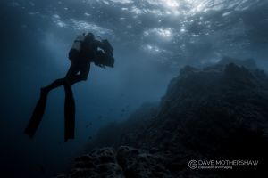 Underwater Portfolio